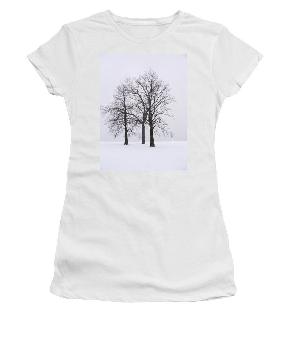 Trees Women's T-Shirt featuring the photograph Three Trees by Laura Kinker