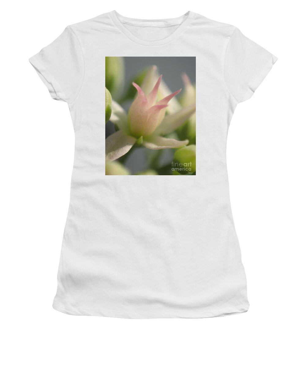 Flowers Women's T-Shirt featuring the photograph Tiny Crown by Christina Verdgeline