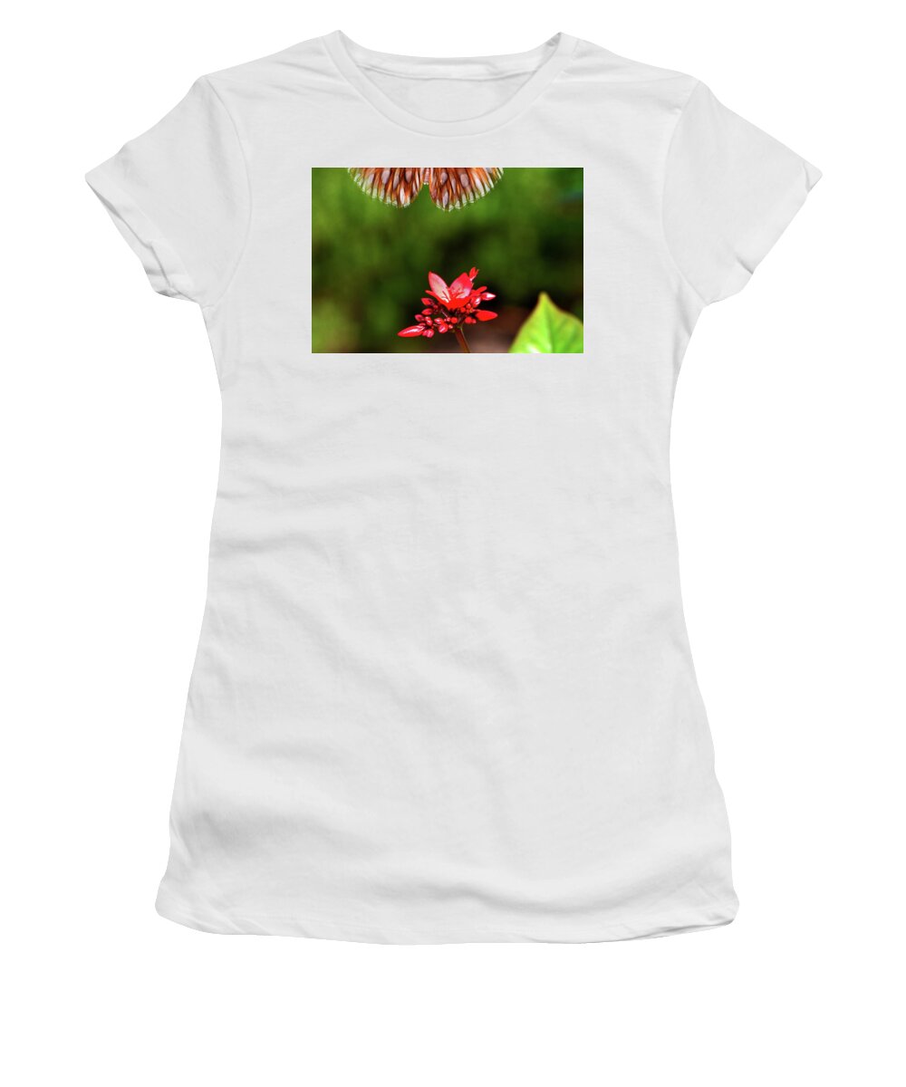 Spicy Jatropha Women's T-Shirt featuring the photograph Too Late 001 by George Bostian