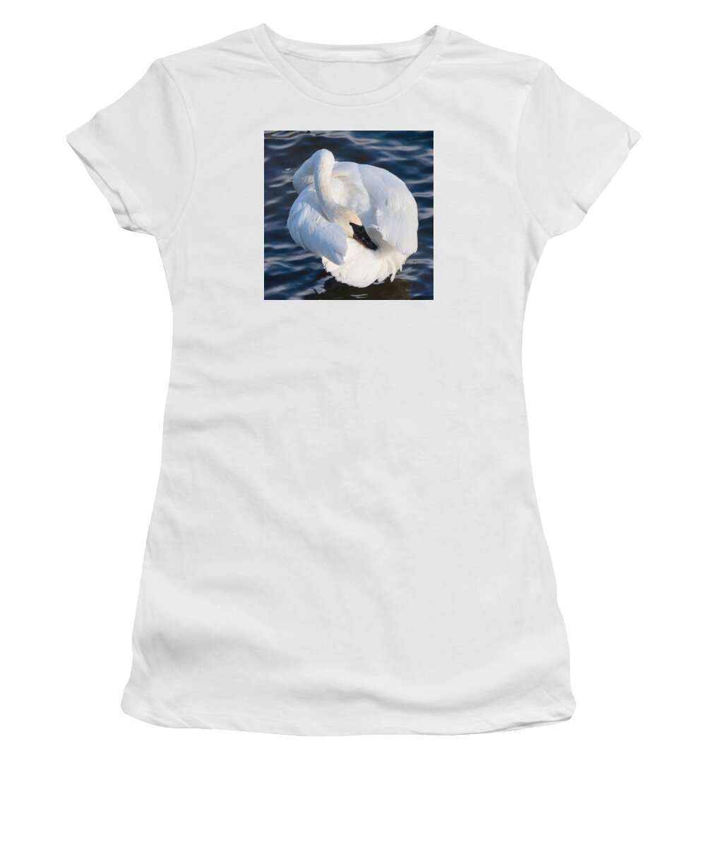 Animals Women's T-Shirt featuring the photograph Trumper Swan by Rikk Flohr
