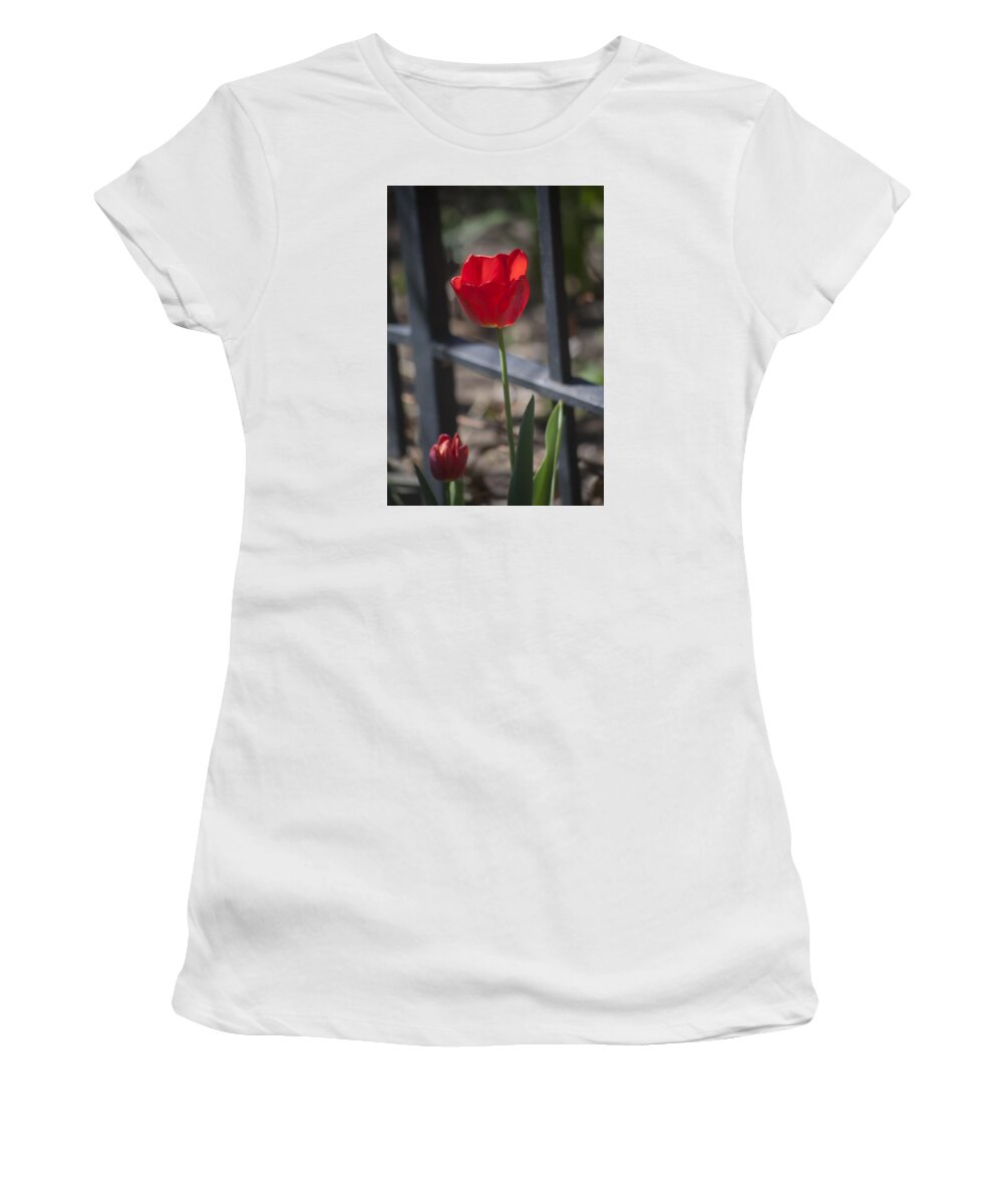  Flower Women's T-Shirt featuring the photograph Tulip and Garden Fence by Morris McClung
