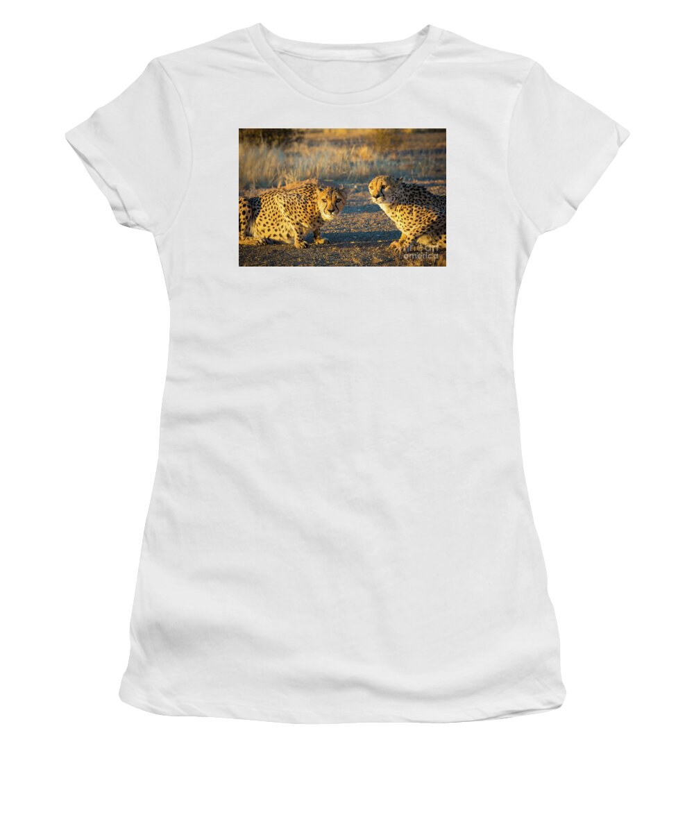 Africa Women's T-Shirt featuring the photograph Two Cheetahs by Inge Johnsson
