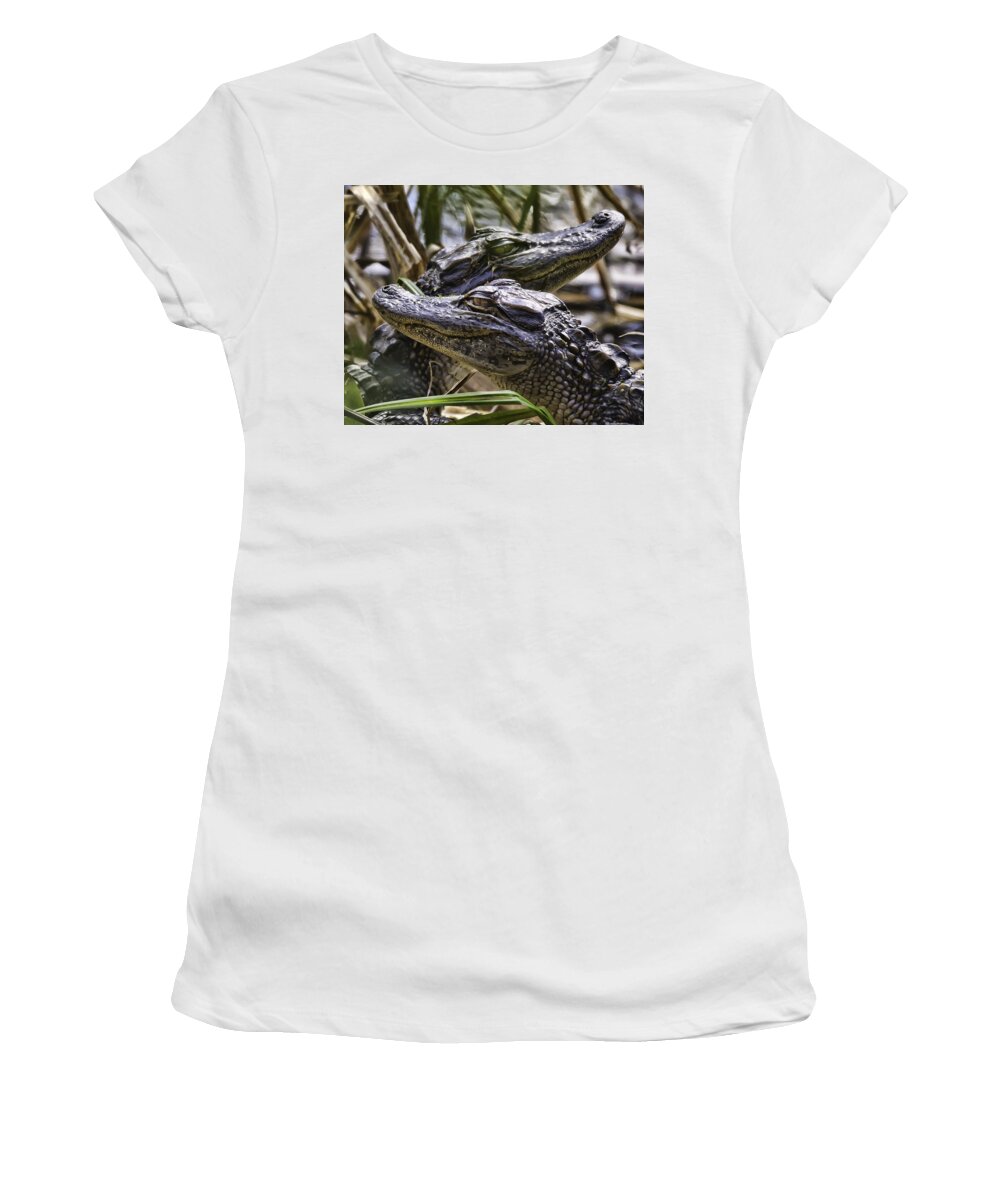 Alligators Women's T-Shirt featuring the photograph Two Heads Are Better Than One by Joe Granita