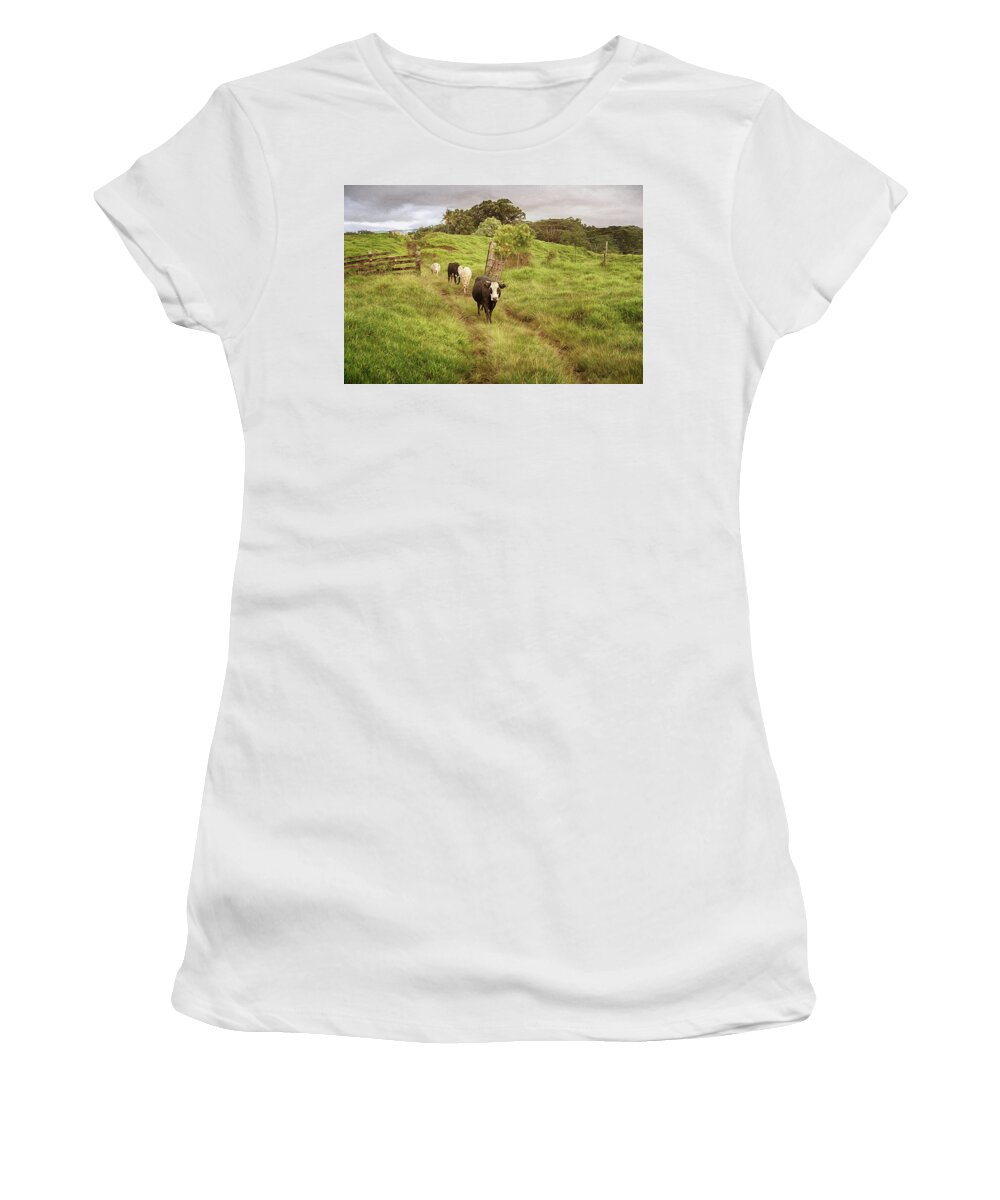 Cows Women's T-Shirt featuring the photograph Upcountry Ranch by Susan Rissi Tregoning