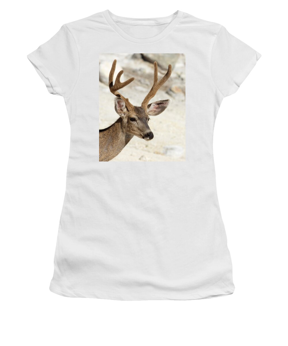 Velvet Women's T-Shirt featuring the photograph Velvet -- Black-Tailed Deer in Lassen Volcanic National Park, California by Darin Volpe