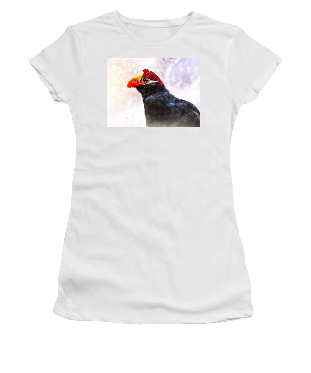 Violet Turaco Women's T-Shirt featuring the photograph Violet Turaco by Jaroslav Buna
