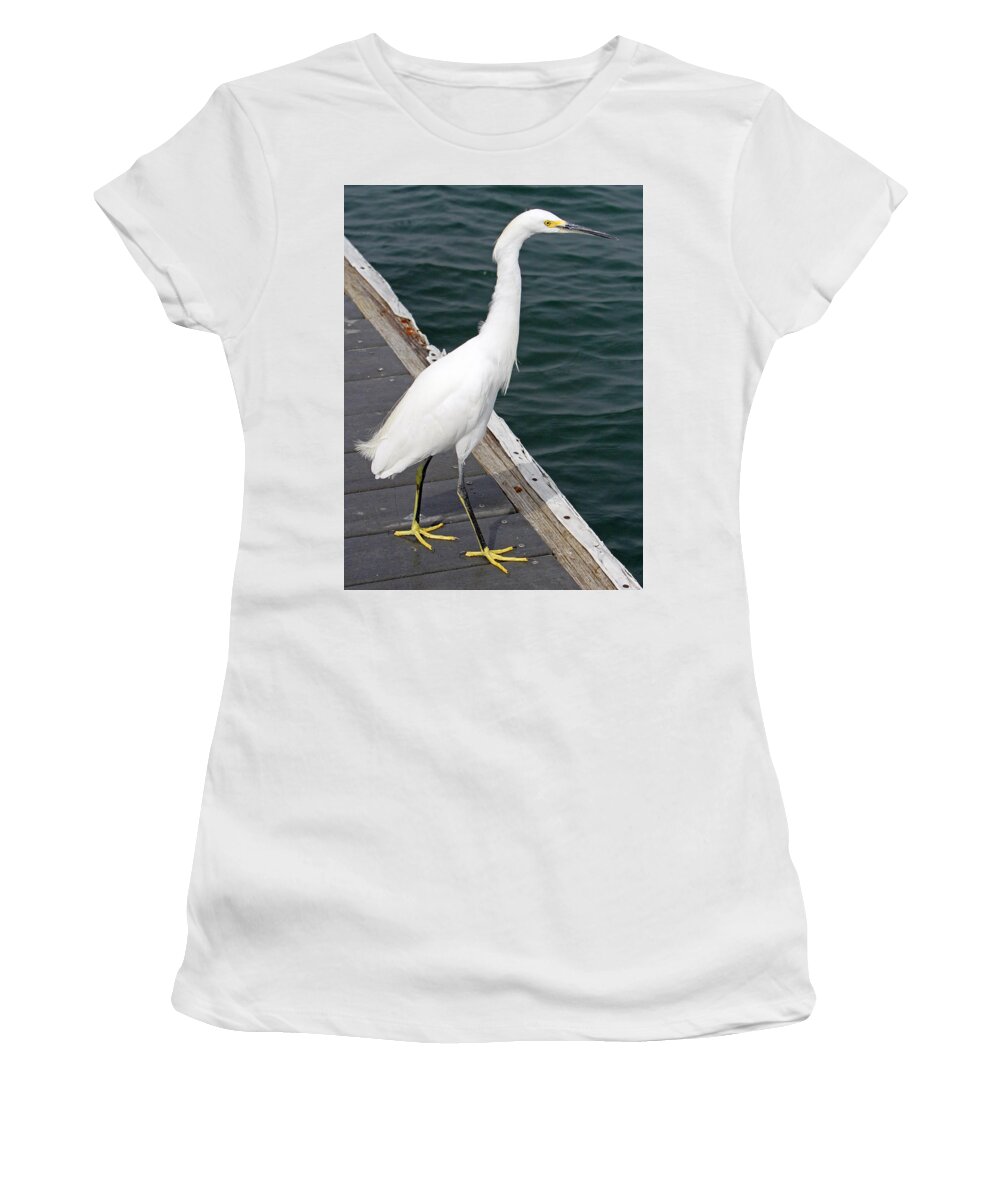 Snowy Egret Women's T-Shirt featuring the photograph Waiting For Lunch by Shoal Hollingsworth