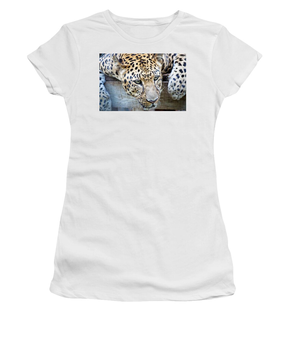 Leopard Women's T-Shirt featuring the photograph Watching You by Kenneth Albin