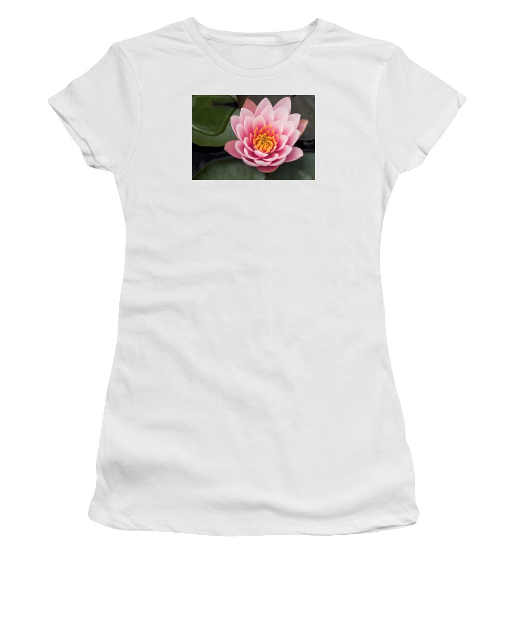 Water Lily Women's T-Shirt featuring the photograph Water Lily Study #3 by Mindy Musick King