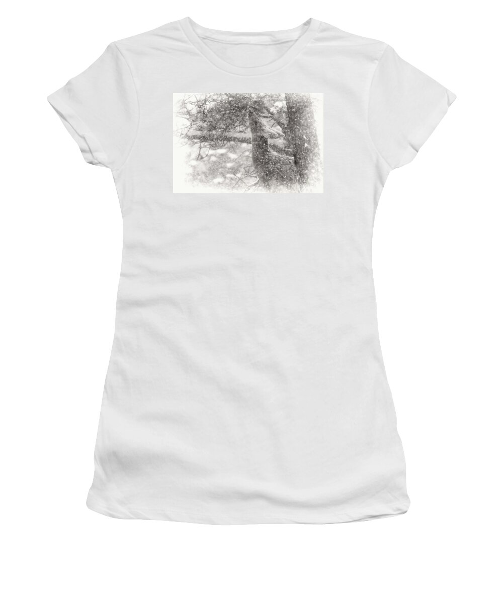 Deer Women's T-Shirt featuring the photograph Weathering Winter by Jim Garrison