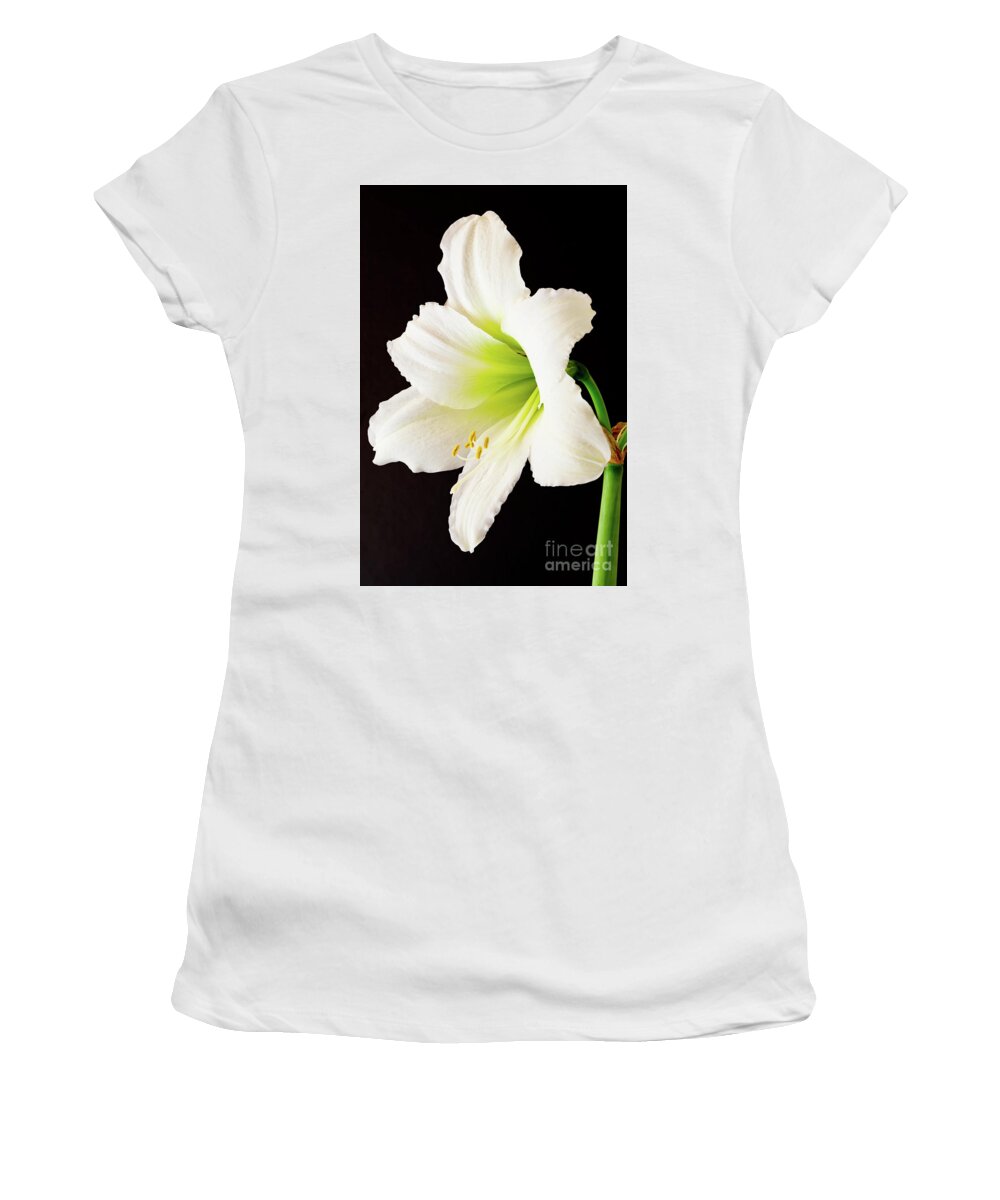 Amaryllis Women's T-Shirt featuring the photograph White Amaryllis by Colin Rayner