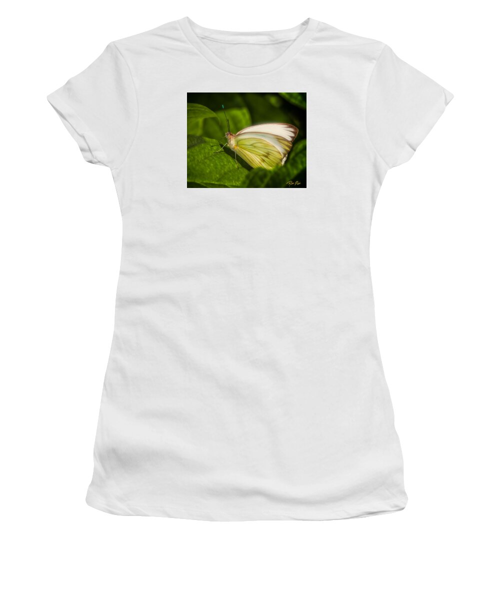 Animals Women's T-Shirt featuring the photograph White Butterfly Sunning by Rikk Flohr