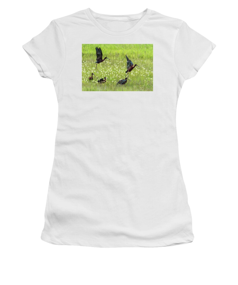 White-faced Ibis Women's T-Shirt featuring the photograph White-Faced Ibis Rising, No. 1 by Belinda Greb