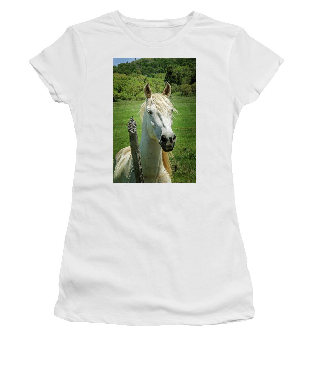 White Horse  2 Women's T-Shirt featuring the photograph White Horse  2 by Susan McMenamin