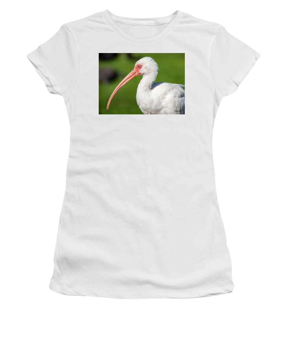 White Ibis Women's T-Shirt featuring the photograph White Ibis by Tim Kathka