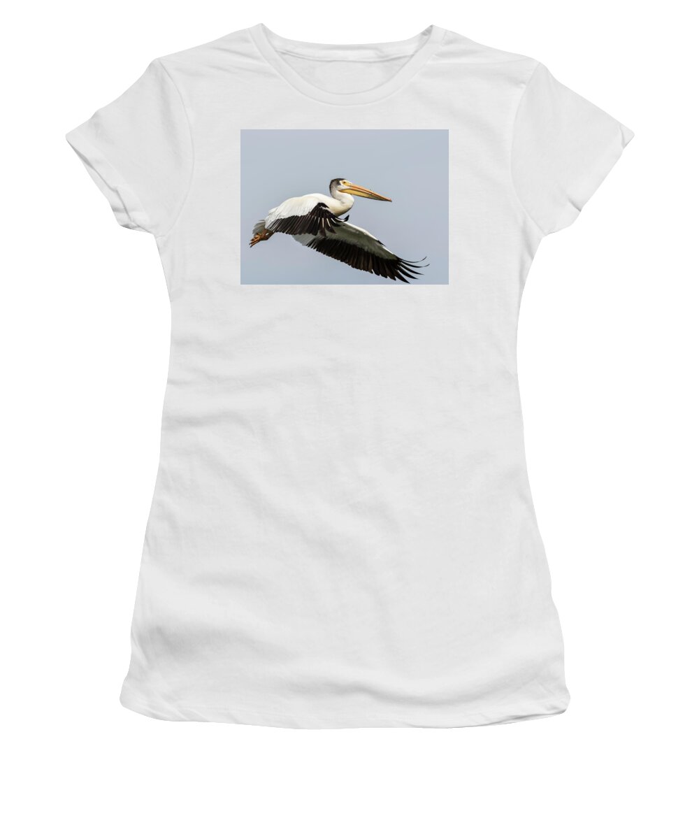 American White Pelican Women's T-Shirt featuring the photograph White Pelican 2016-4 by Thomas Young