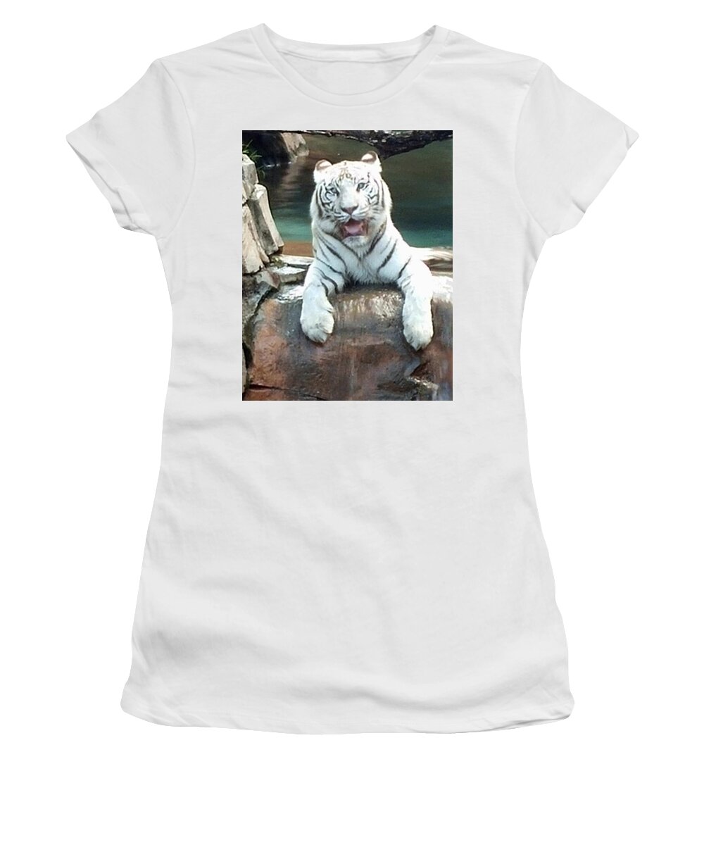 Tiger Women's T-Shirt featuring the photograph White Tiger by Rick Redman