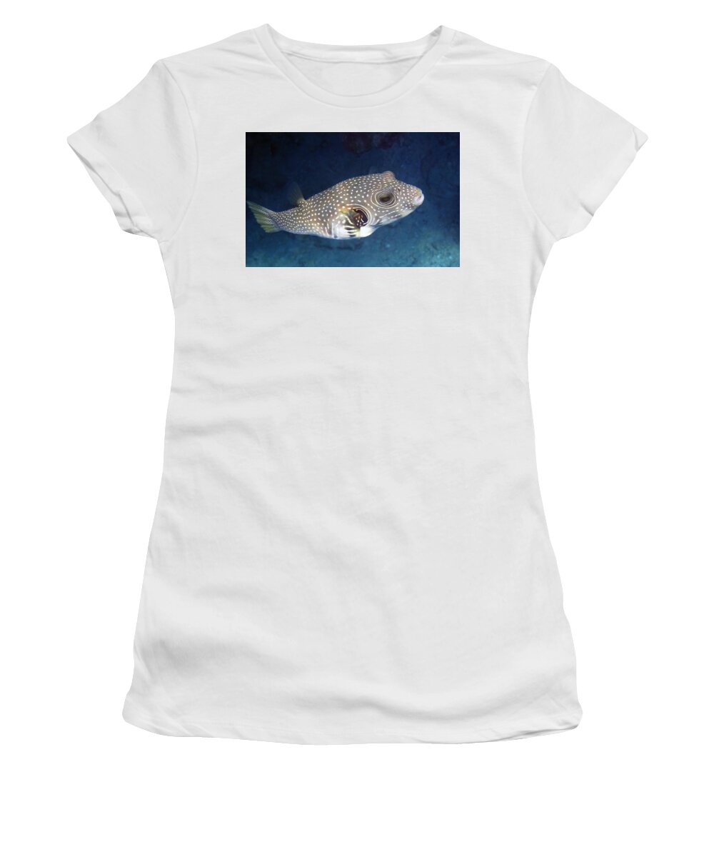 Water Women's T-Shirt featuring the photograph Whitespotted Pufferfish Closeup by Johanna Hurmerinta