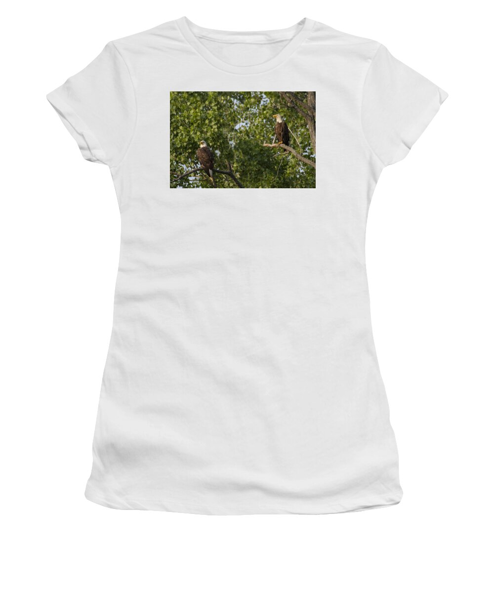 Bird Women's T-Shirt featuring the photograph Who's Bald? by Suanne Forster