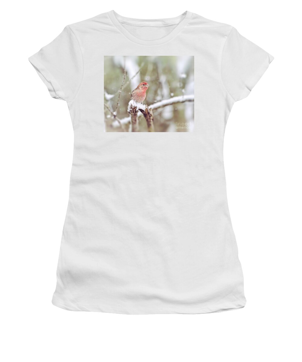 House Finch Women's T-Shirt featuring the photograph Wild Birds - House Finch in The Snow by Kerri Farley of New River Nature