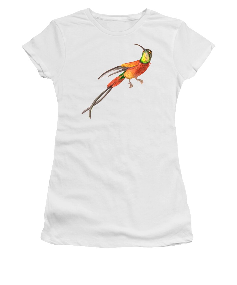 Tropical Women's T-Shirt featuring the painting Winged Jewel 6, Watercolor Tropical Rainforest Hummingbird Red, Yellow, Orange and Green by Audrey Jeanne Roberts