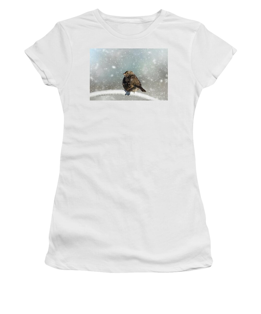 Golden-crowned Sparrow Women's T-Shirt featuring the photograph Winter Morning by Eva Lechner