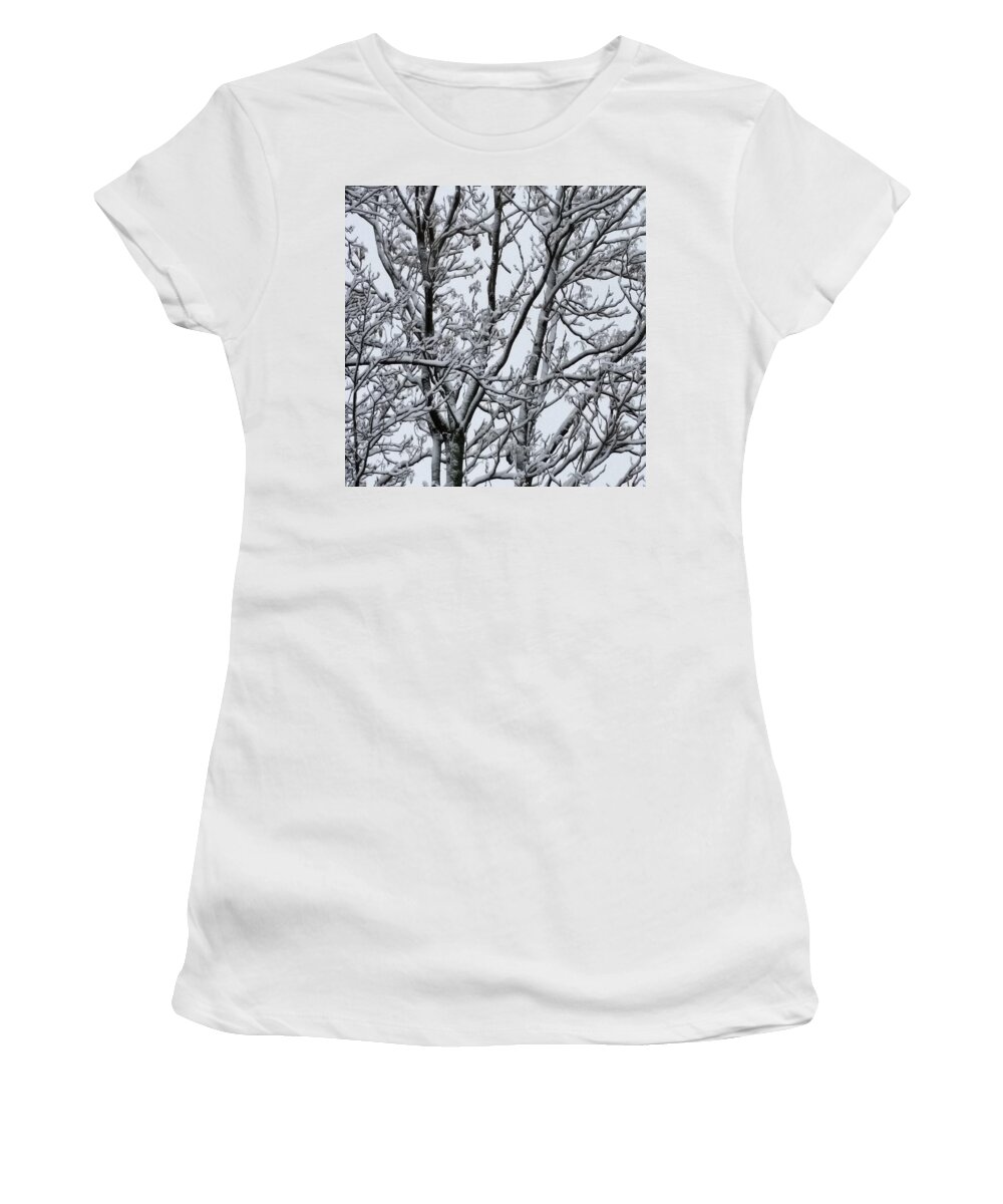 Ice Women's T-Shirt featuring the photograph Winter Sky through Snow Branches by Vic Ritchey