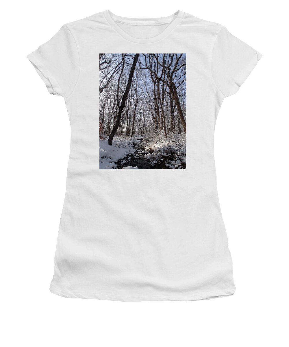 Nature Women's T-Shirt featuring the photograph Winter Woods 3 by Robert Nickologianis