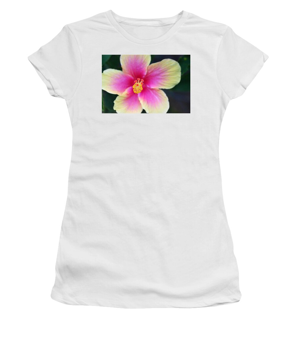 Flower Women's T-Shirt featuring the photograph Yellow and Pink Hibiscus 2 by Amy Fose