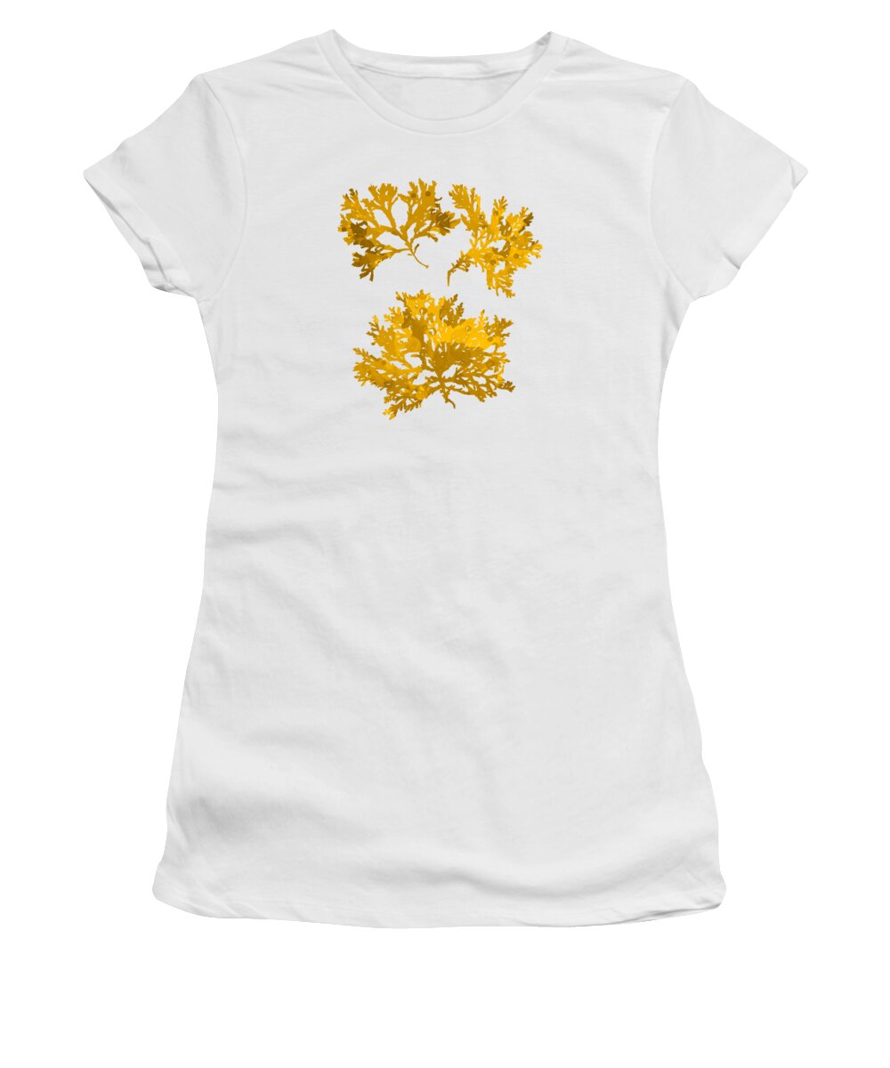 Seaweed Women's T-Shirt featuring the mixed media Gold Seaweed Art Delesseria Alata by Christina Rollo