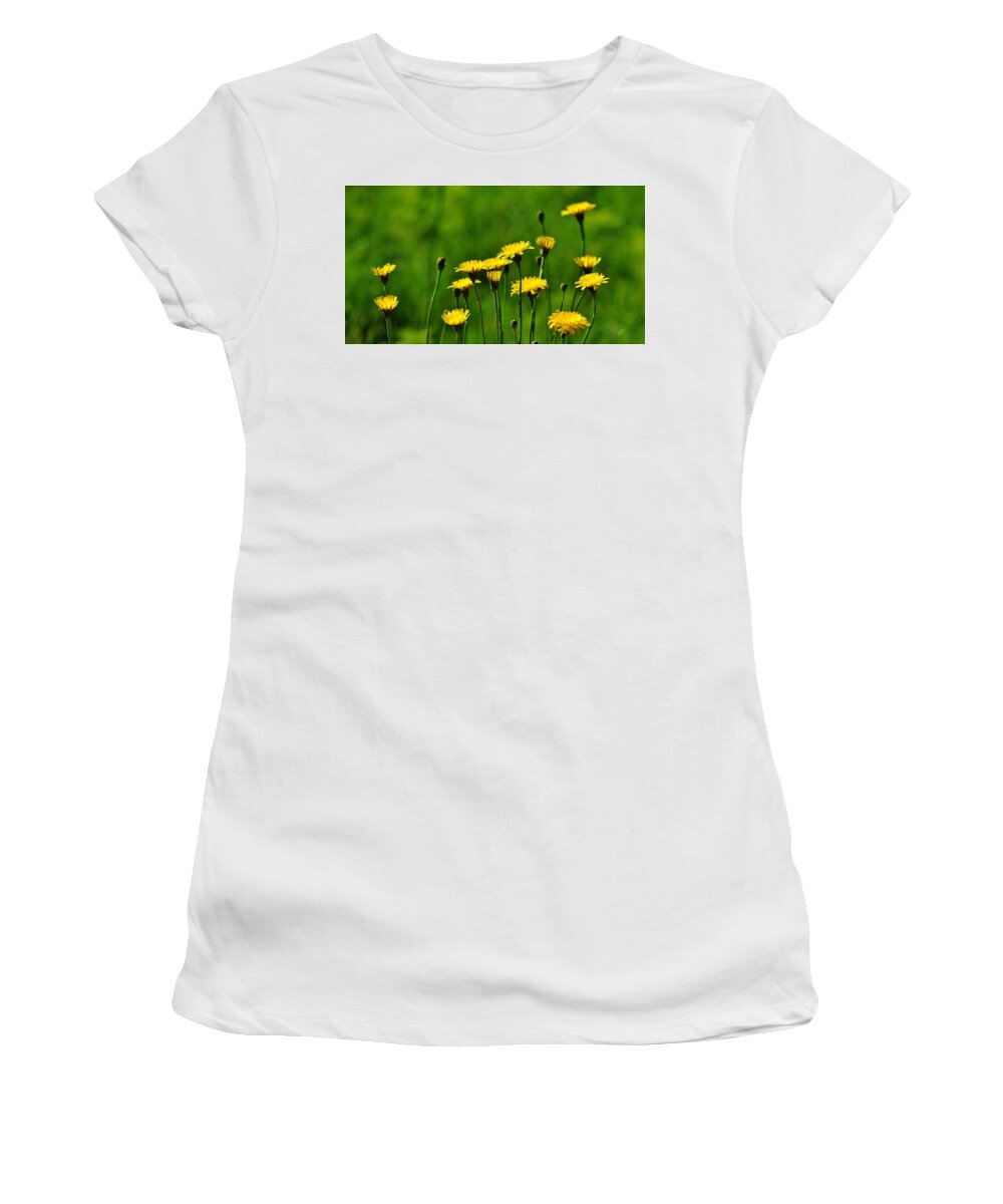 Yellow Women's T-Shirt featuring the photograph Yellow Wildflowers by Eileen Brymer
