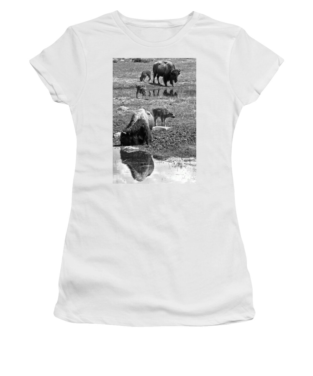Bison Women's T-Shirt featuring the photograph Yellowstone Bison Reflections Black And White by Adam Jewell