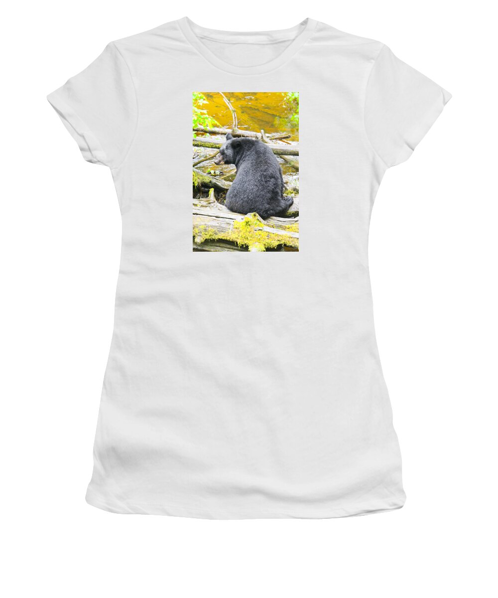 Wildlife. Black Bear Women's T-Shirt featuring the photograph Yes They Do by Harold Piskiel