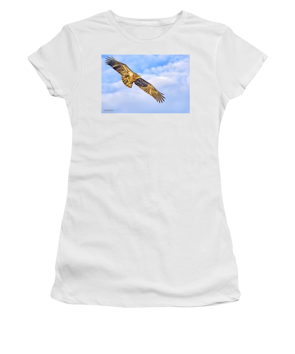 Eagle Women's T-Shirt featuring the photograph Young Bald Eagle by LeeAnn McLaneGoetz McLaneGoetzStudioLLCcom