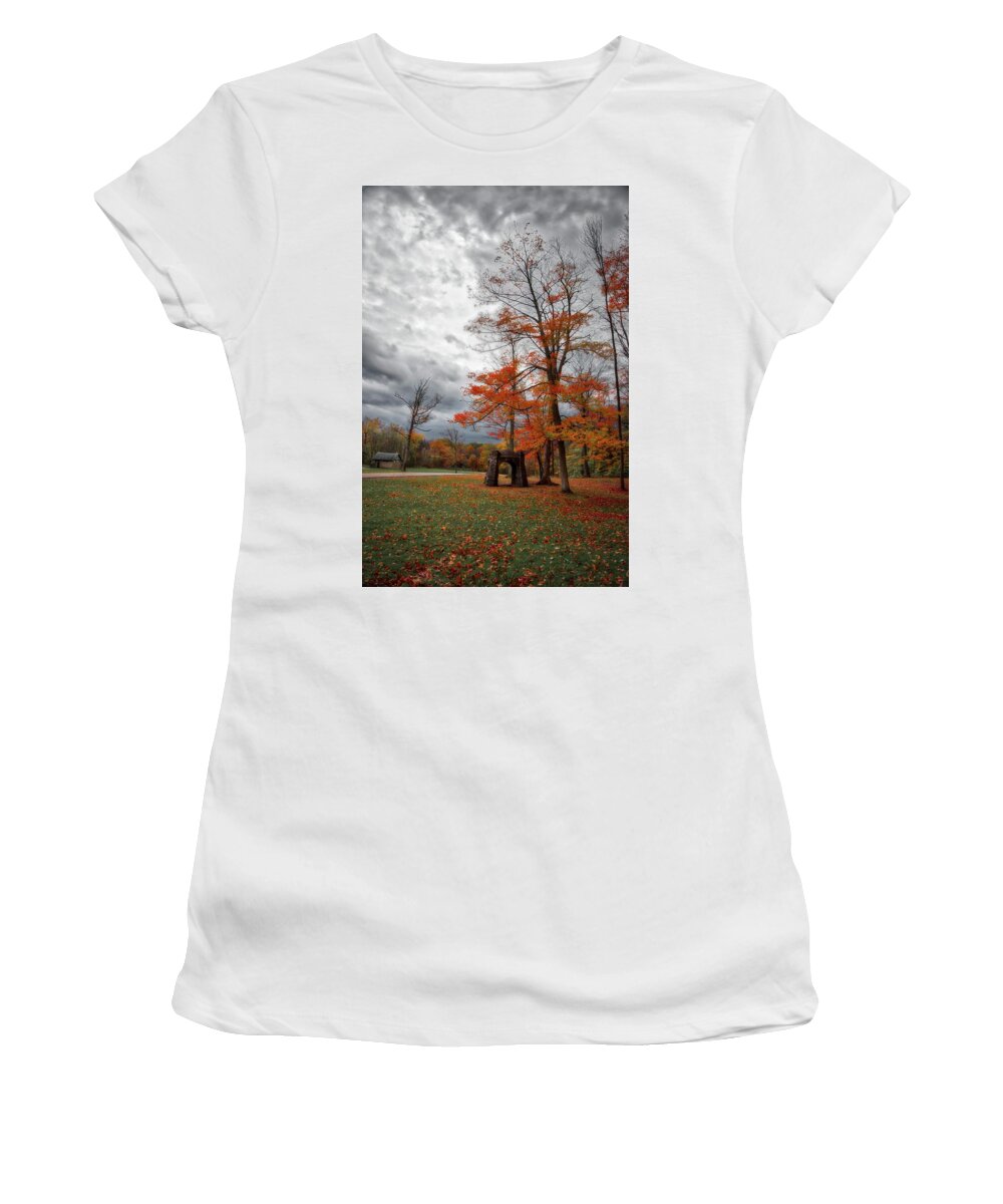 Chestnut Ridge County Park Women's T-Shirt featuring the photograph An Autumn Day At Chestnut Ridge Park #1 by Guy Whiteley