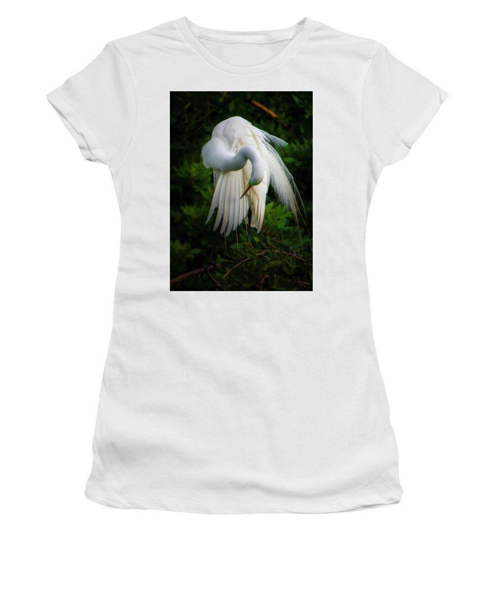 Nature Women's T-Shirt featuring the photograph Breeding Plumage and Color by Donald Brown