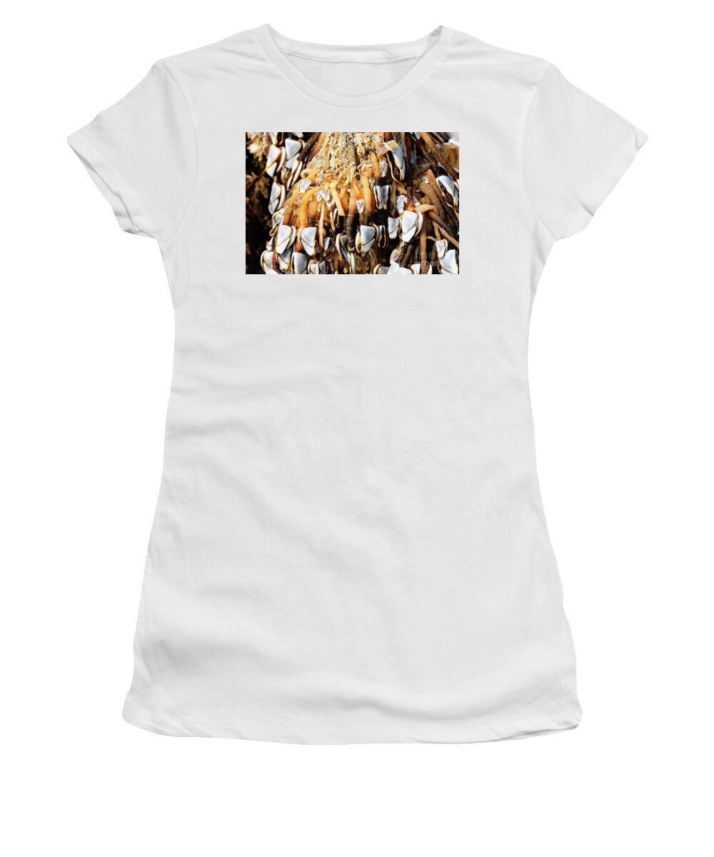 Goose Barnacles Women's T-Shirt featuring the photograph Close up Gooseneck Barnacles Lepas anatifera attached to driftwo #1 by Robert C Paulson Jr