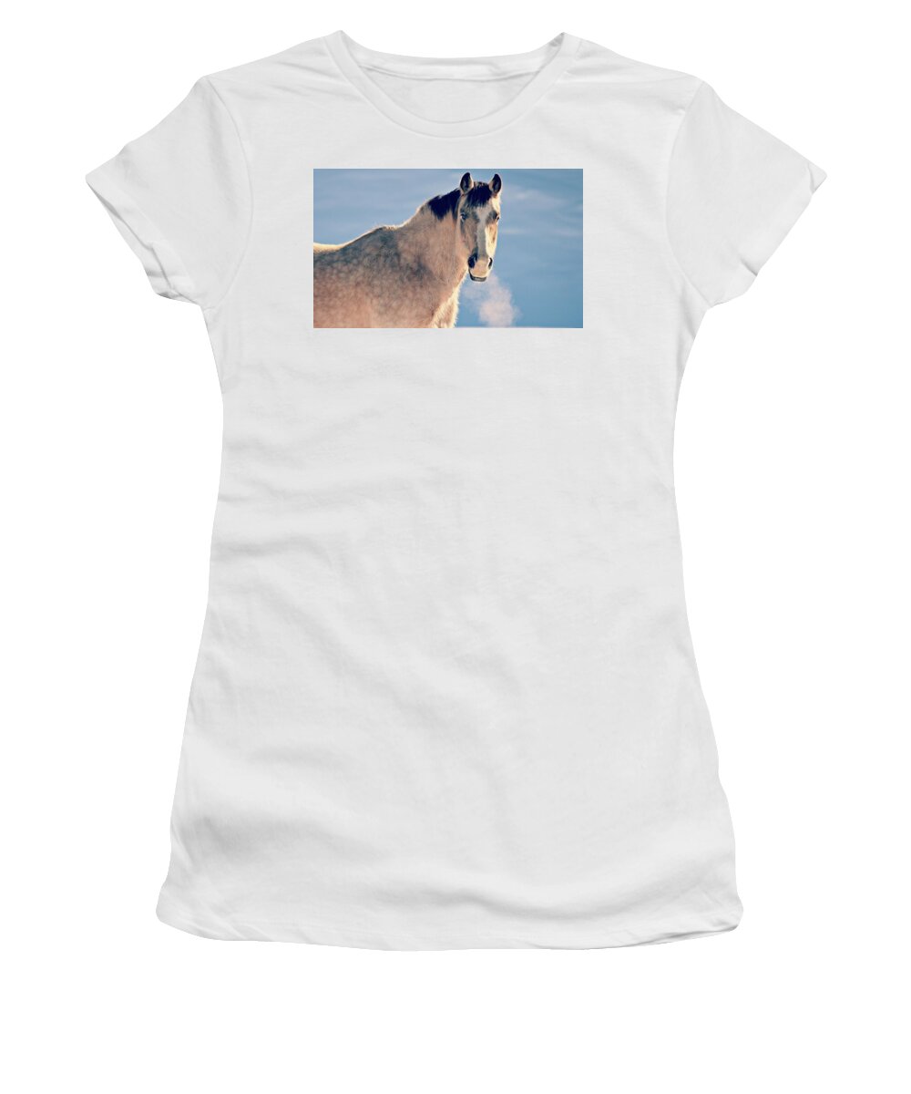 Horse Women's T-Shirt featuring the photograph 1 Degree by Robin Dickinson