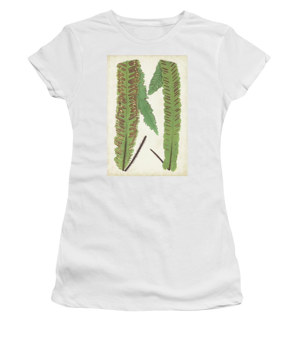 Botanical Women's T-Shirt featuring the painting Fern Family IIi #1 by Lowe
