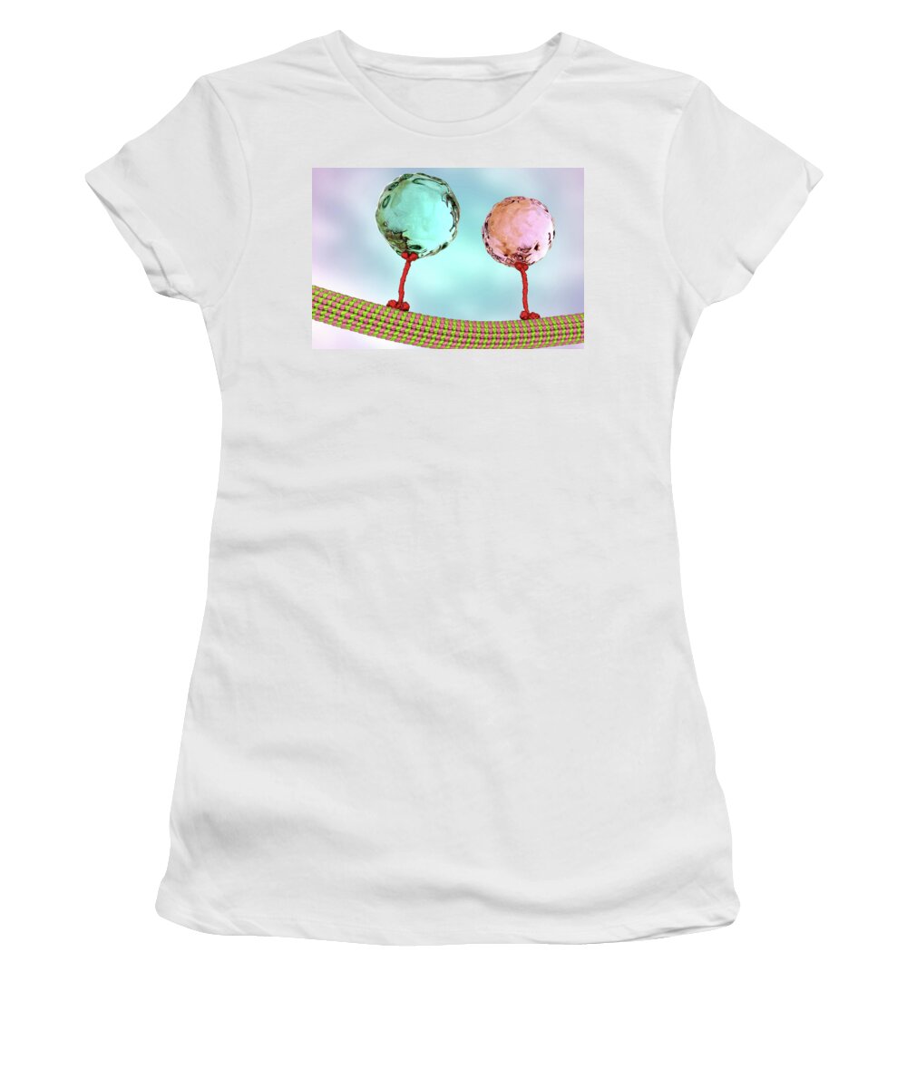 Art Women's T-Shirt featuring the photograph Intracellular Transport, Illustration #1 by Kateryna Kon