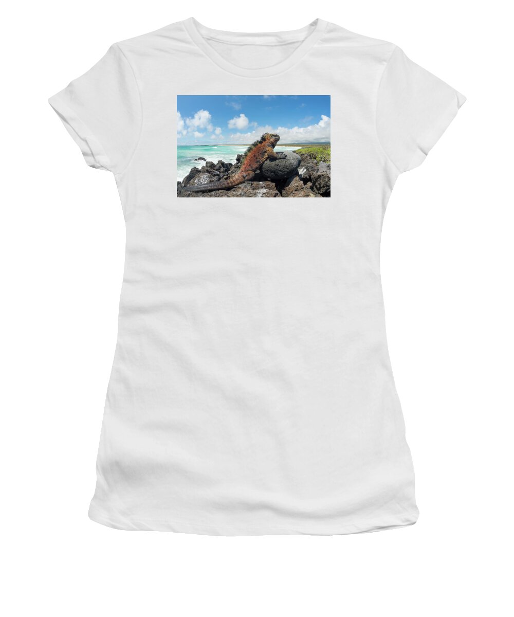 Animals Women's T-Shirt featuring the photograph Marine Iguana Basking, Tortuga Bay #1 by Tui De Roy