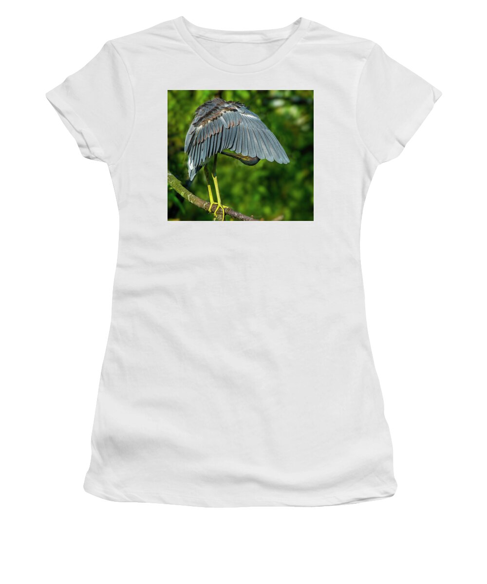 Birds Women's T-Shirt featuring the photograph Preening Reddish Heron by Donald Brown