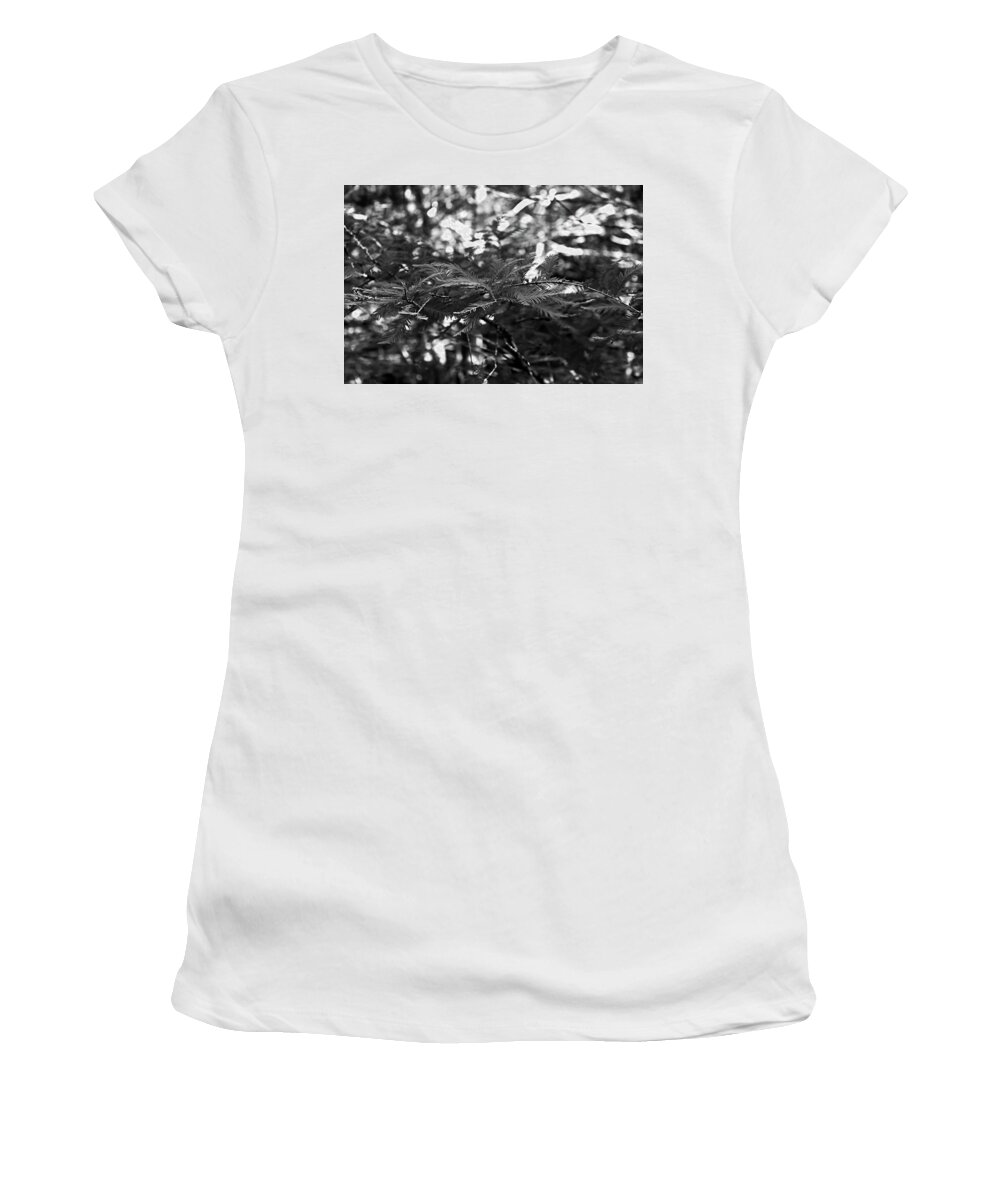 Cypress Tree Women's T-Shirt featuring the photograph Shadowed Stories #1 by Michiale Schneider
