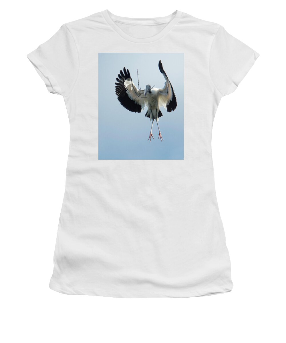 Alligator Farm Women's T-Shirt featuring the photograph Woodstork Nesting by Donald Brown