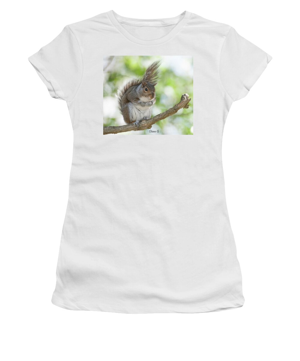 Eastern Grey Squirrel Women's T-Shirt featuring the photograph Eastern Grey Squirrel #2 by Diane Giurco