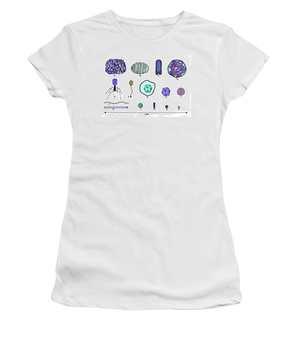 Adenovirus Women's T-Shirt featuring the photograph Virus Particles #2 by Biophoto Associates