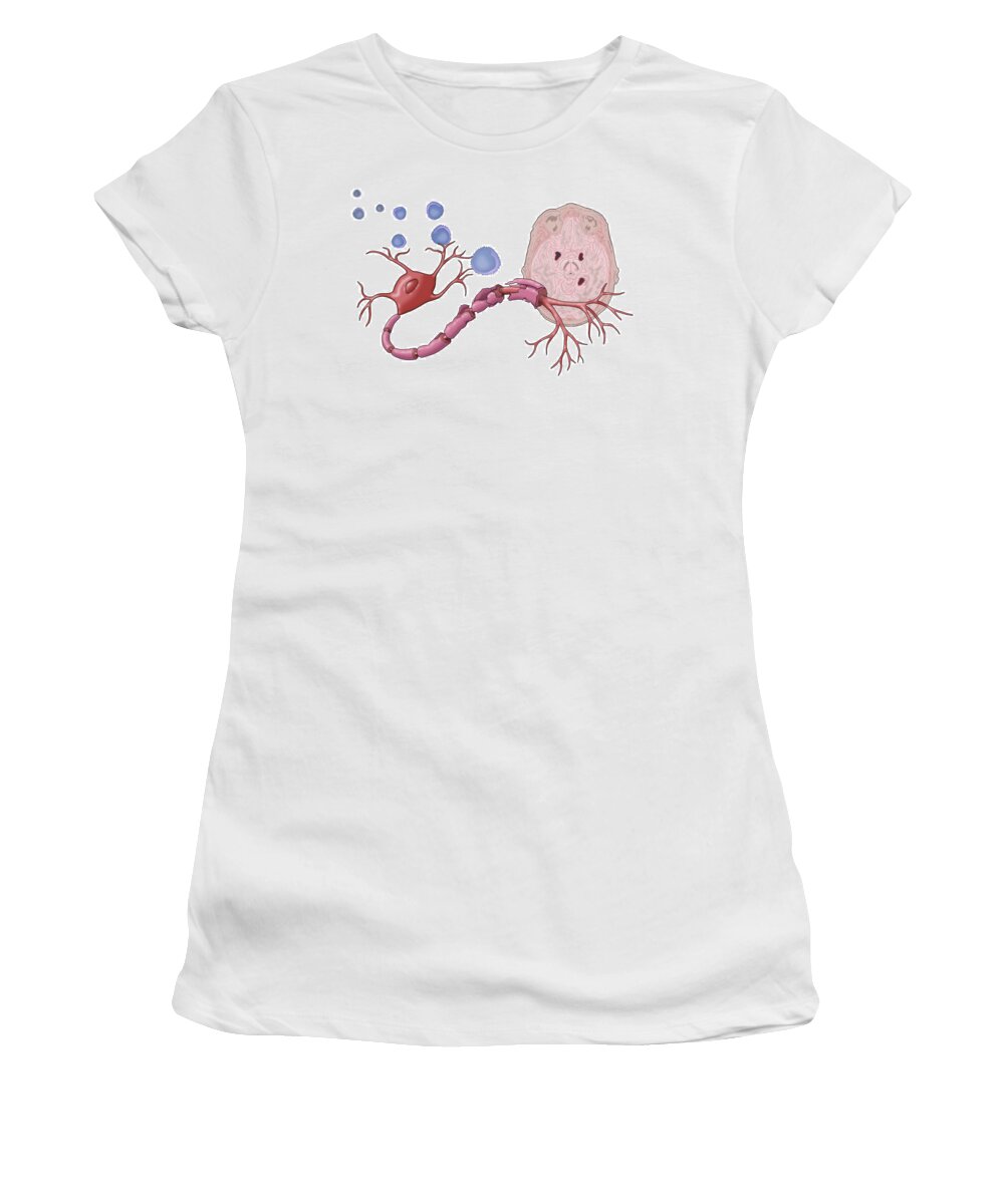 Anatomy Women's T-Shirt featuring the photograph Multiple Sclerosis #4 by Monica Schroeder