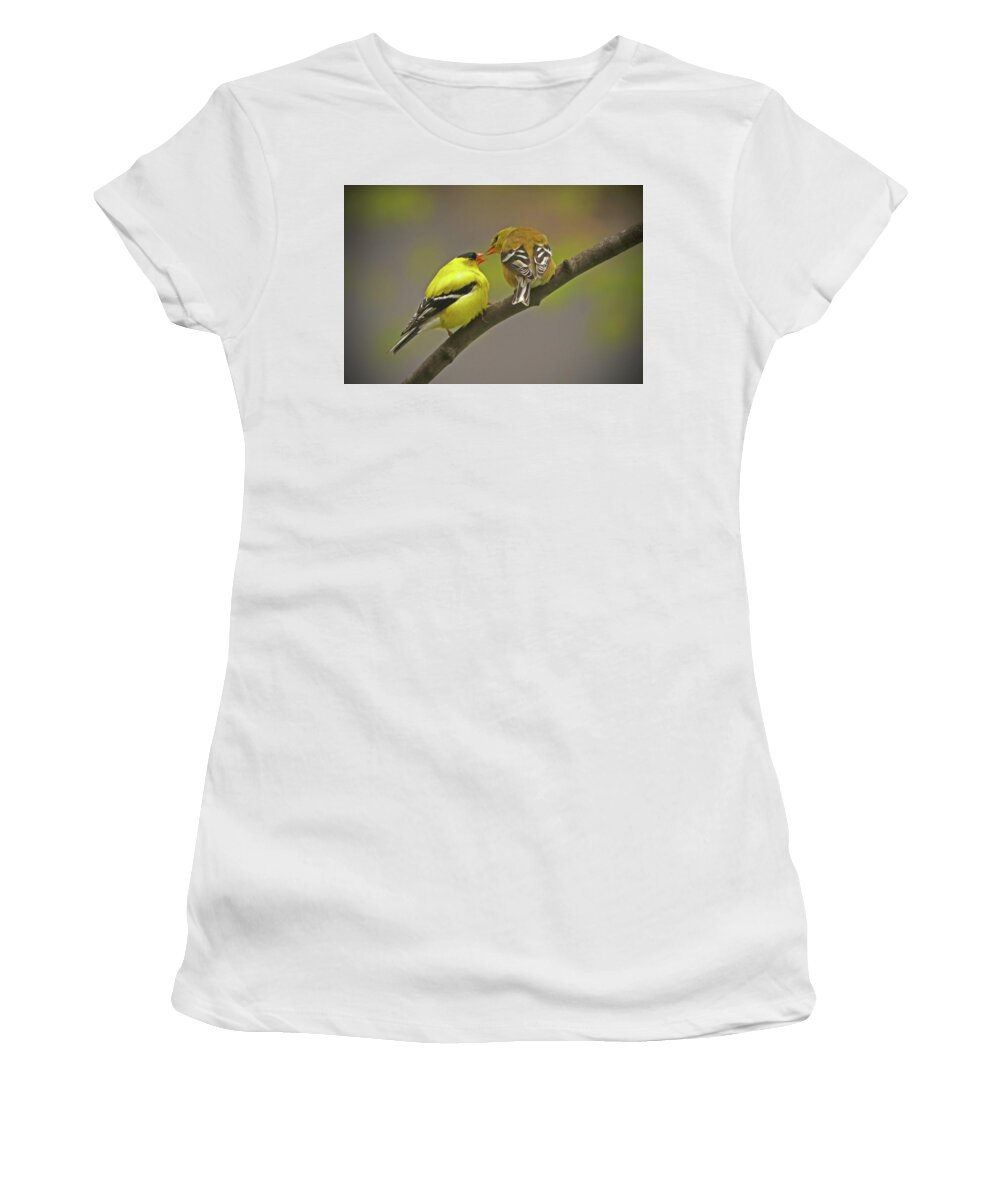 Bird Women's T-Shirt featuring the photograph American Goldfinch Mates by Ira Marcus