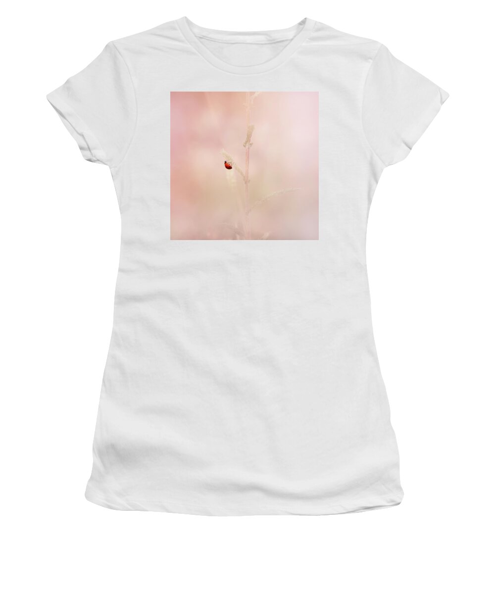 Ladybird Women's T-Shirt featuring the photograph Around The Meadow 9 by Jaroslav Buna