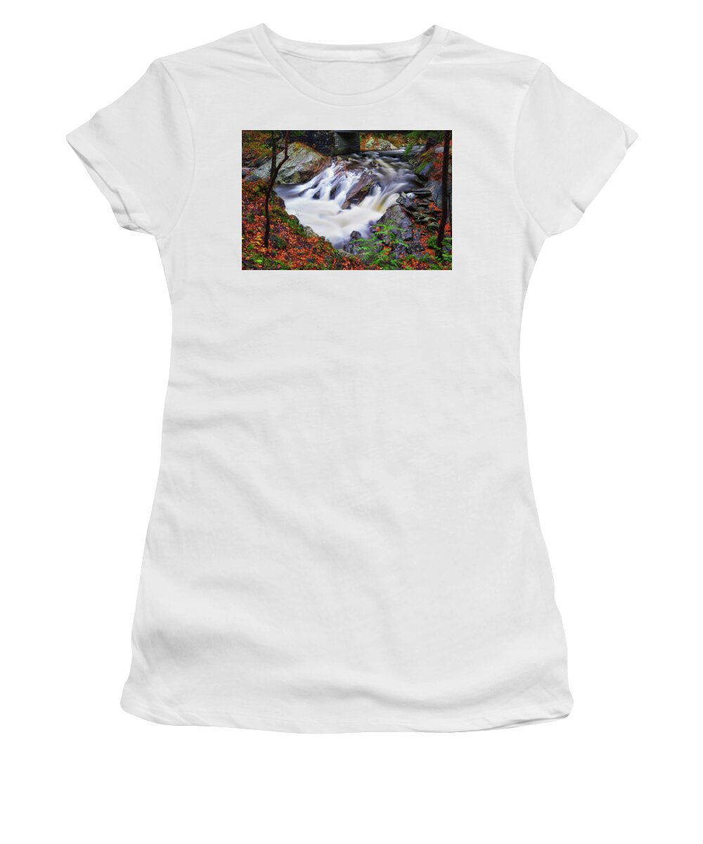 Great Smoky Mountains National Park Women's T-Shirt featuring the photograph Autumn at The Sinks by Greg Norrell